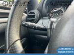 LIGIER JS Gualchierotti Groupe annonces véhicules d'occasion